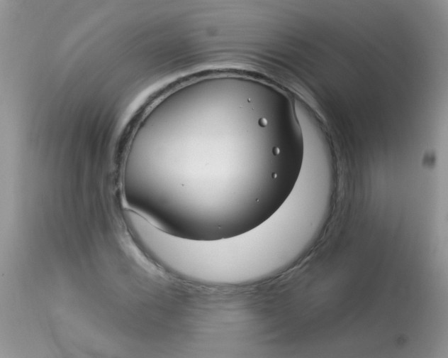 X0000113071116200909182018