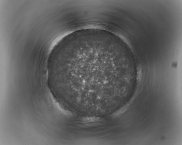 X0000113071117200909182018