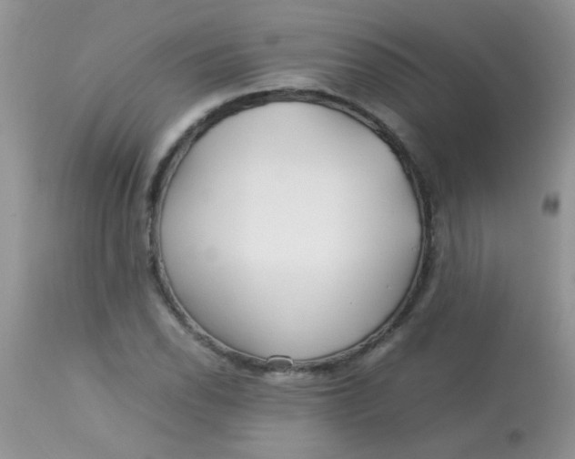 X0000113071118200909182018