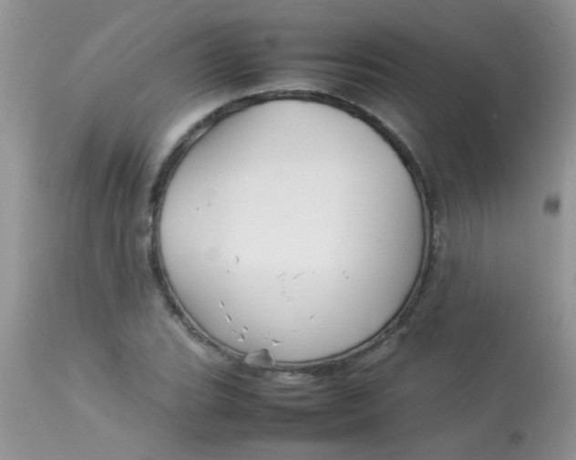 X0000113071119200909182018