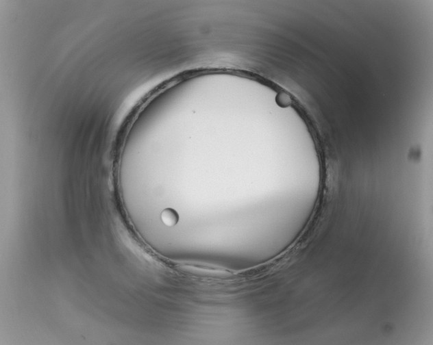 X0000113071120200909182018