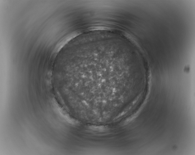 X0000113071121200909182018