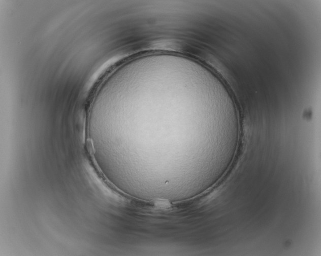 X0000113071123200909182018