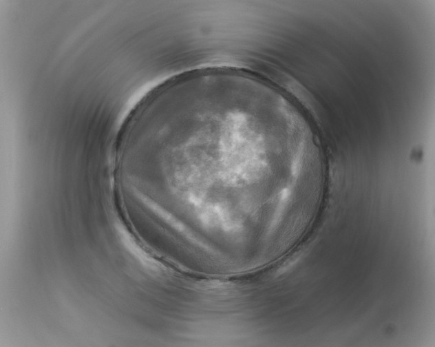 X0000113071124200909182018