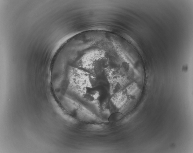 X0000113071125200909182018