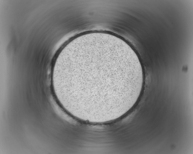 X0000113071126200909182018