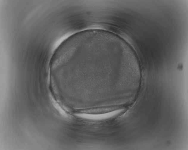 X0000113071127200909182018