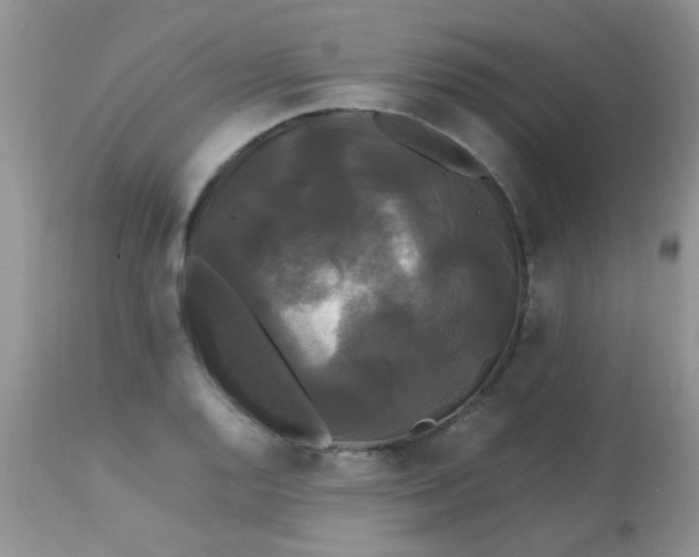 X0000113071128200909182018