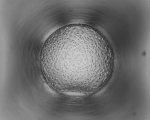 X0000113071129200909182018