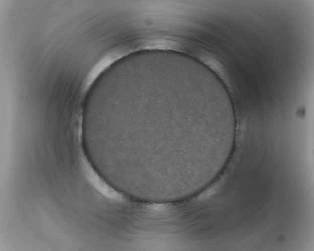 X0000113071130200909182018