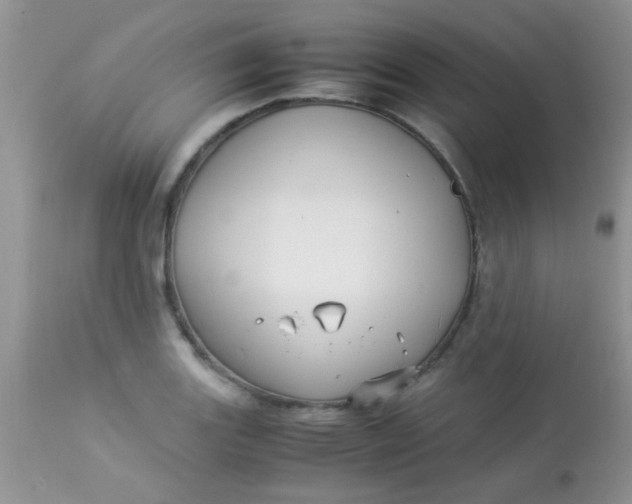 X0000113071131200909182018