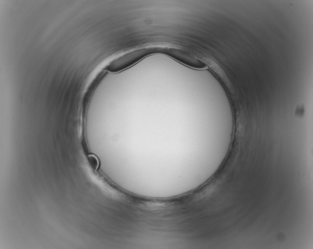 X0000113071132200909182018