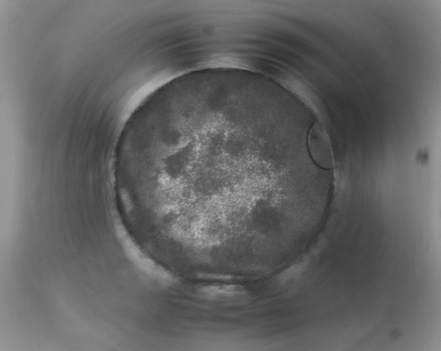 X0000113071133200909182018