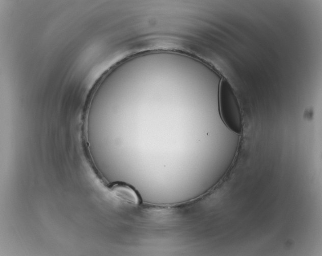 X0000113071134200909182018