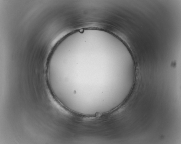 X0000113071135200909182018