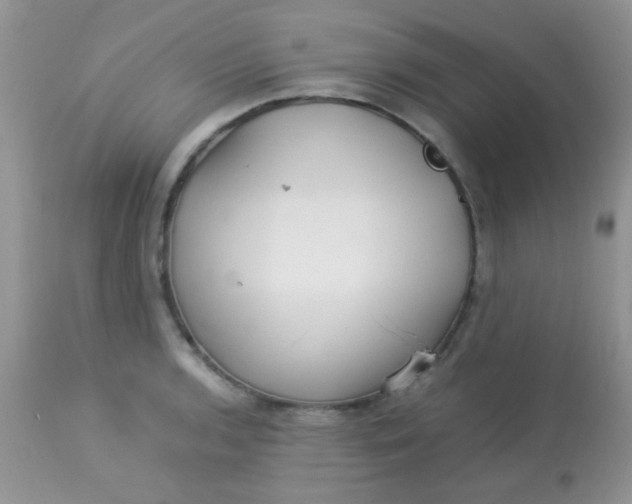 X0000113071136200909182018