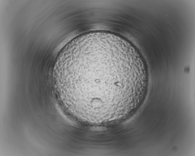 X0000113071137200909182018