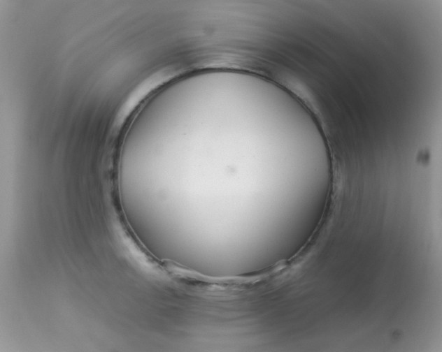 X0000113071138200909182018