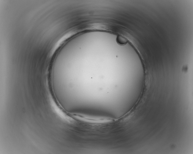 X0000113071139200909182018