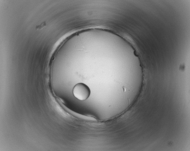 X0000113071140200909182018