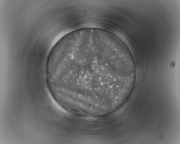 X0000113071141200909182018