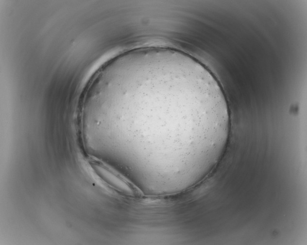 X0000113071142200909182018