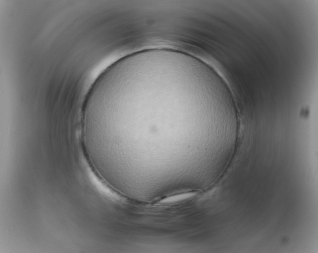 X0000113071143200909182018