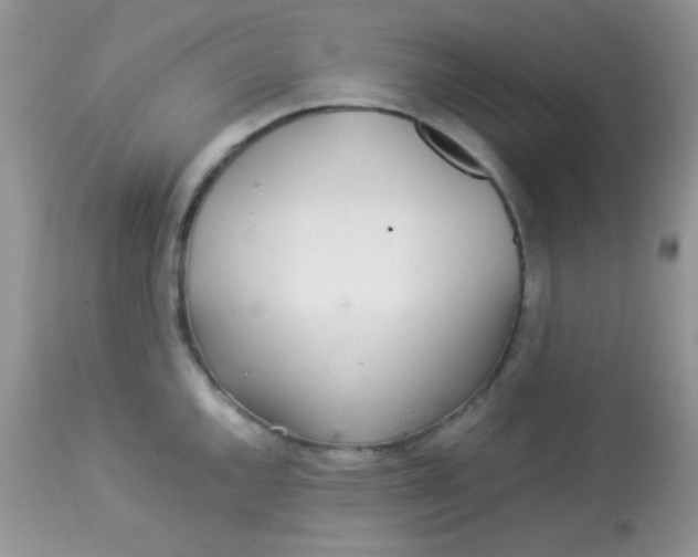 X0000113071144200909182018