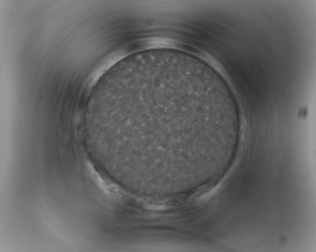 X0000113071145200909182018