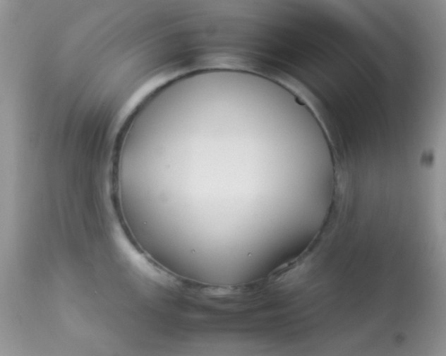 X0000113071147200909182019