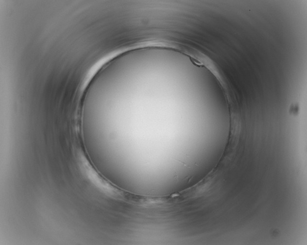 X0000113071148200909182019