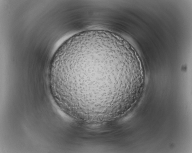 X0000113071149200909182019