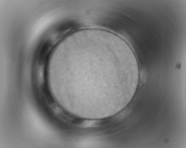 X0000113071150200909182019