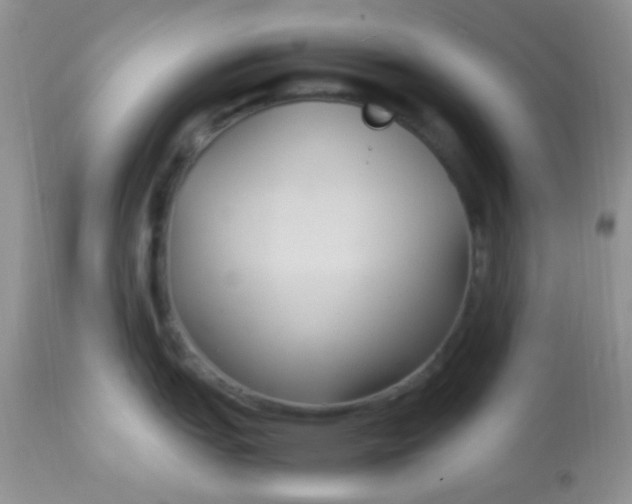 X0000113071151200909182019