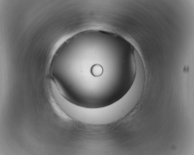 X0000113071152200909182019