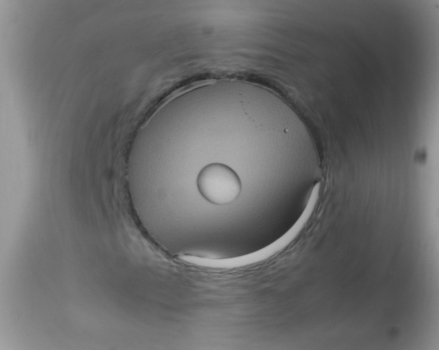 X0000113071153200909182018