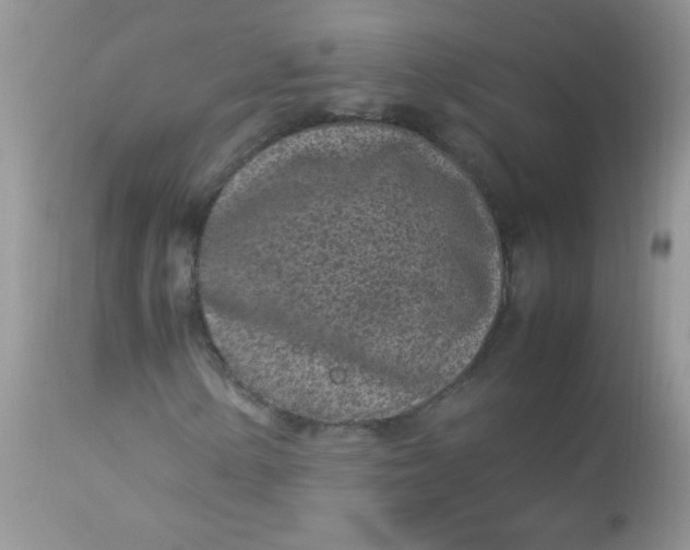 X0000113071154200909182018