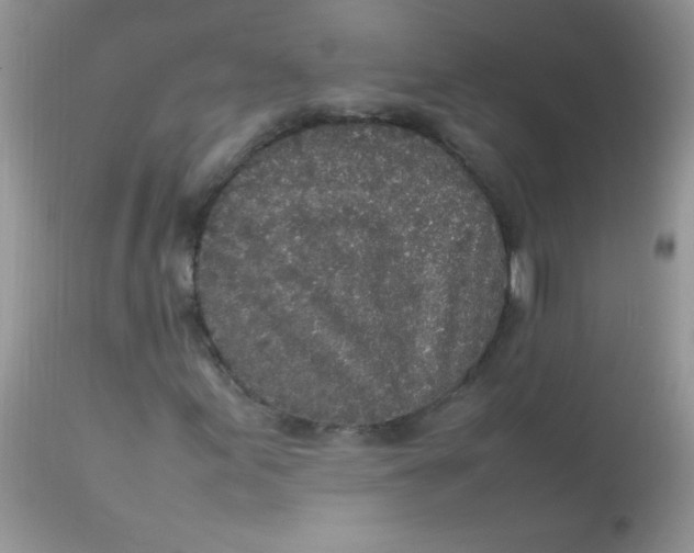 X0000113071155200909182018