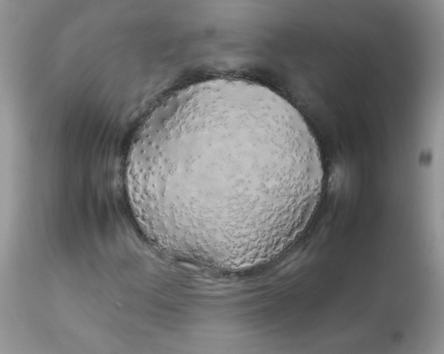 X0000113071156200909182018