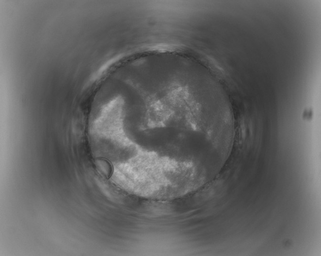 X0000113071158200909182018