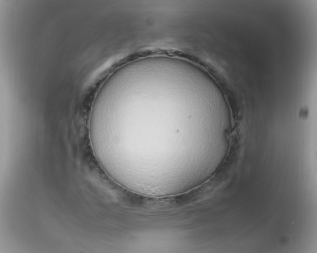 X0000113071159200909182018