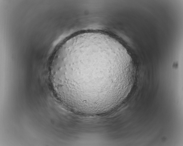 X0000113071160200909182018