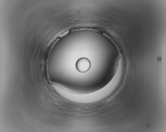 X0000113071161200909182018