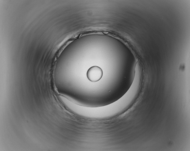 X0000113071162200909182018