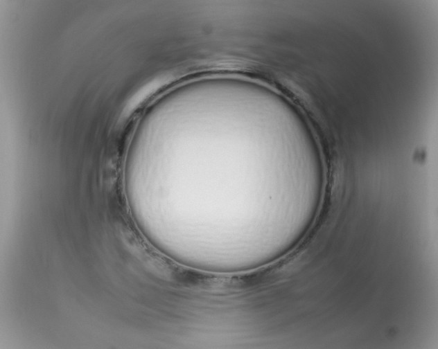 X0000113071163200909182018