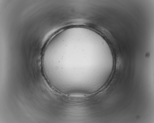 X0000113071164200909182018