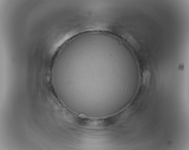 X0000113071165200909182018