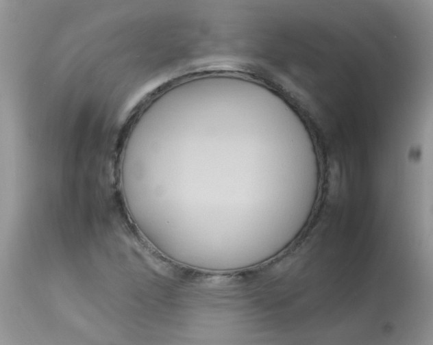 X0000113071166200909182018