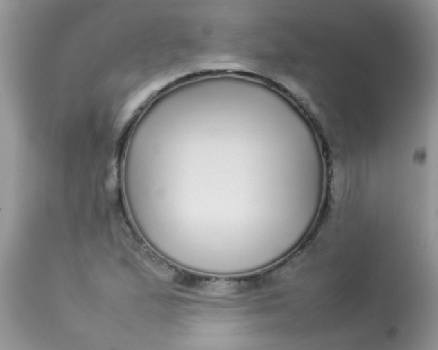 X0000113071167200909182018