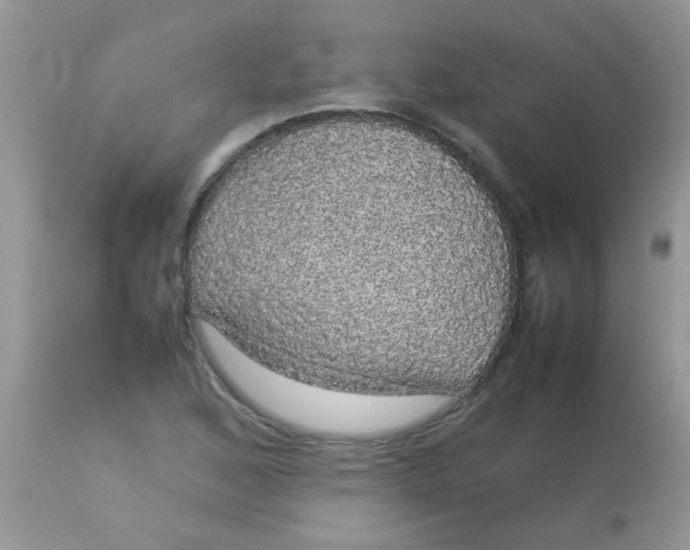 X0000113071168200909182018